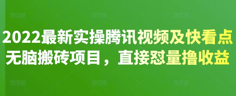 2022最新实操腾讯视频及快看点无脑搬砖项目，直接怼量撸收益￼-大白鱼网创