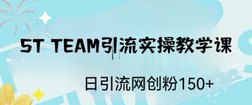 ST TEAM引流实操课，日引流网创粉100+-大白鱼网创