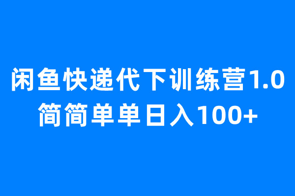 闲鱼快递代下训练营1.0，简简单单日入100+-大白鱼网创