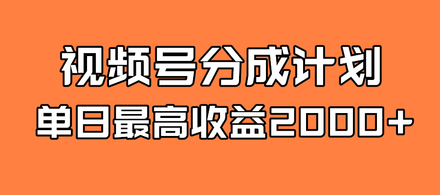 全新蓝海 视频号掘金计划 日入2000+-大白鱼网创