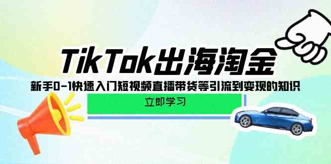 TikTok出海淘金，新手0-1快速入门短视频直播带货等引流到变现的知识-大白鱼网创