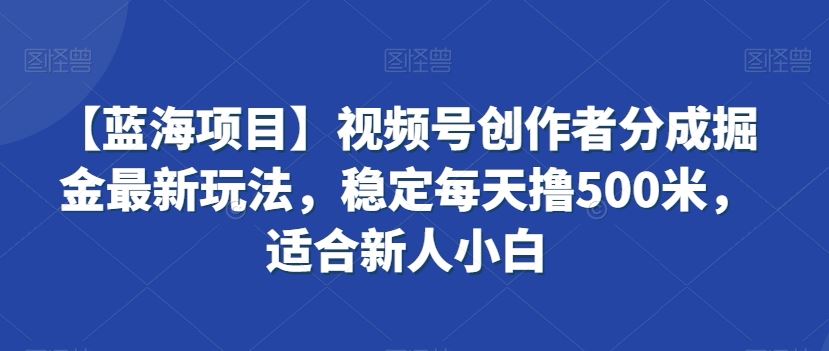 视频号创作者分成掘金最新玩法，稳定每天撸500米，适合新人小白-大白鱼网创