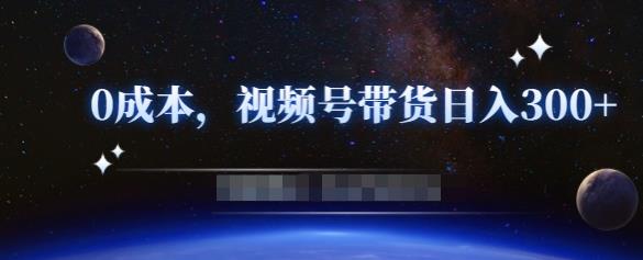 零基础视频号带货赚钱项目，0成本0门槛轻松日入300+【视频教程】￼-大白鱼网创