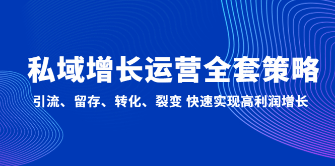 私域增长运营全套策略：引流、留存、转化、裂变 快速实现高利润增长-大白鱼网创