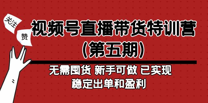 视频号直播带货特训营（第五期）无需囤货 新手可做 已实现稳定出单和盈利-大白鱼网创