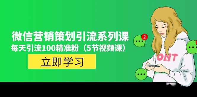 价值百万的微信营销策划引流系列课，每天引流100精准粉（5节视频课）-大白鱼网创