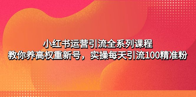 小红书运营引流全系列课程：教你养高权重新号，实操每天引流100精准粉-大白鱼网创