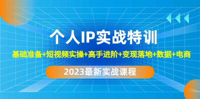 2023个人IP实战特训：基础准备+短视频实操+高手进阶+变现落地+数据+电商-大白鱼网创