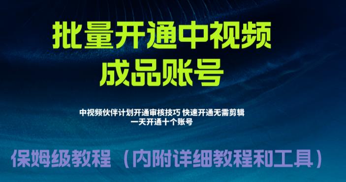 外面收费1980暴力开通中视频计划教程，附 快速通过中视频伙伴计划的办法-大白鱼网创