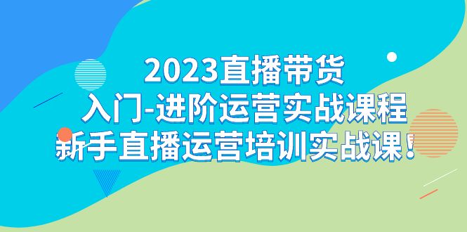 2023直播带货入门-进阶运营实战课程：新手直播运营培训实战课！-大白鱼网创