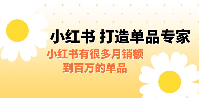 某公众号付费文章《小红书 打造单品专家》小红书有很多月销额到百万的单品-大白鱼网创