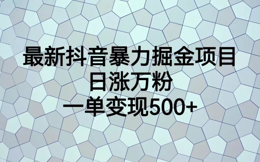 最火热的抖音暴力掘金项目，日涨万粉，多种变现方式，一单变现可达500+-大白鱼网创