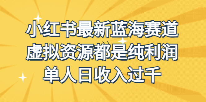 外面收费1980的小红书最新蓝海赛道，虚拟资源都是纯利润，单人日收入过千-大白鱼网创