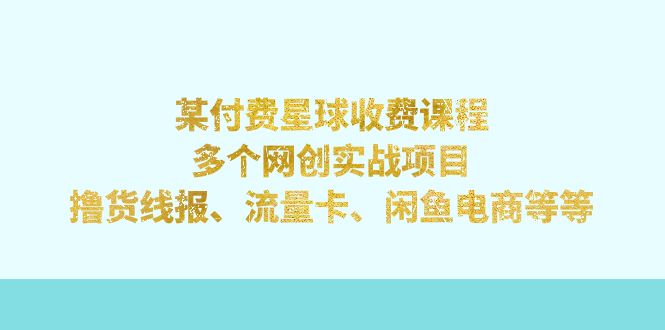 某付费星球课程：多个网创实战项目，撸货线报、流量卡、闲鱼电商等等-大白鱼网创