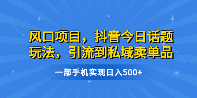 风口项目，抖音今日话题玩法，引流到私域卖单品，一部手机实现日入500+-大白鱼网创