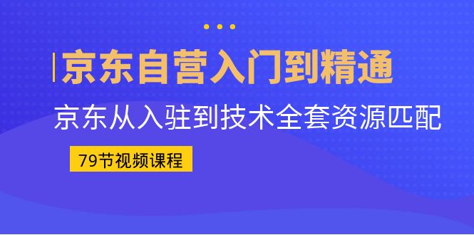 京东自营入门到精通：京东从入驻到技术全套资源匹配（79节课）-大白鱼网创