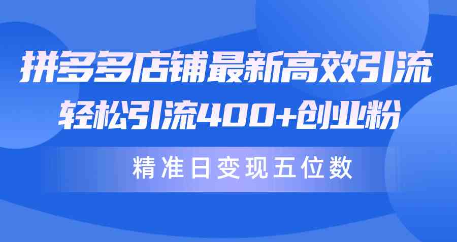 （10041期）拼多多店铺最新高效引流术，轻松引流400+创业粉，精准日变现五位数！-大白鱼网创