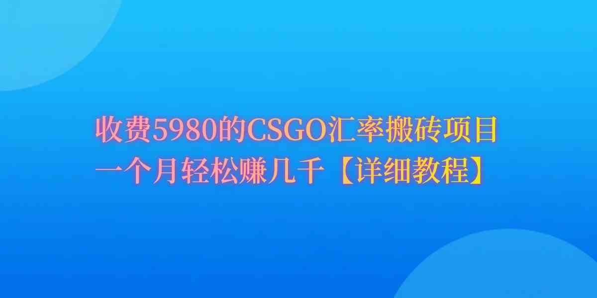 （9776期）CSGO装备搬砖，月综合收益率高达60%，你也可以！-大白鱼网创