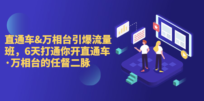 直通车+万相台引爆流量班，6天打通你开直通车·万相台的任督 二脉-大白鱼网创