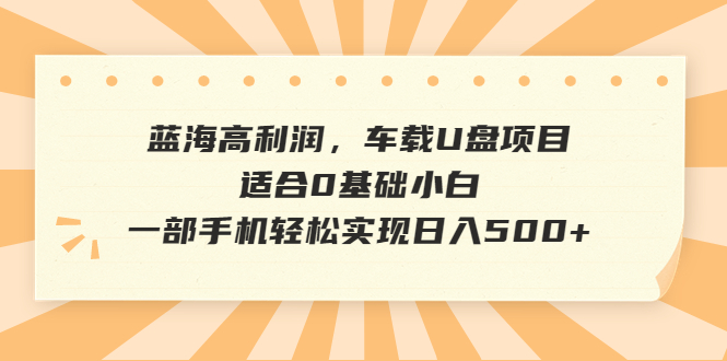 蓝海高利润，车载U盘项目，适合0基础小白，一部手机轻松实现日入500+-大白鱼网创