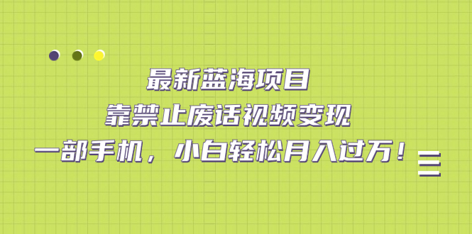 最新蓝海项目，靠禁止废话视频变现，一部手机，小白轻松月入过万！-大白鱼网创