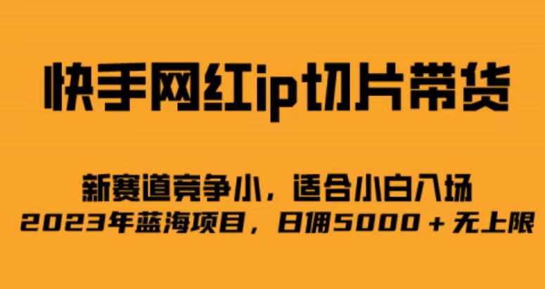 快手网红ip切片新赛道，竞争小事，适合小白 2023蓝海项目-大白鱼网创