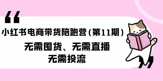 小红书电商带货陪跑营(第11期)无需囤货、无需直播、无需投流-大白鱼网创