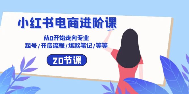 小红书电商进阶课：从0开始走向专业 起号/开店流程/爆款笔记/等等（20节）-大白鱼网创