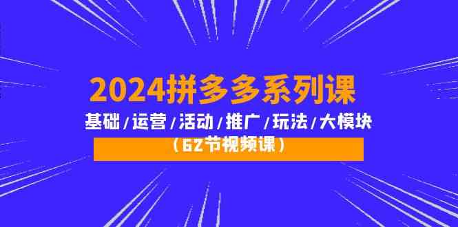 （10019期）2024拼多多系列课：基础/运营/活动/推广/玩法/大模块（62节视频课）-大白鱼网创