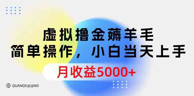 （9864期）虚拟撸金薅羊毛，简单操作，小白当天上手，月收益5000+-大白鱼网创