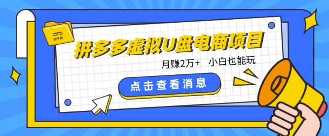 拼多多虚拟U盘电商红利项目：月赚2万+，新手小白也能玩-大白鱼网创