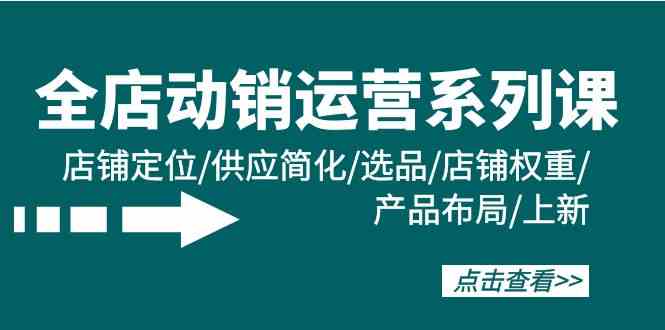 全店动销运营系列课：店铺定位/供应简化/选品/店铺权重/产品布局/上新-大白鱼网创