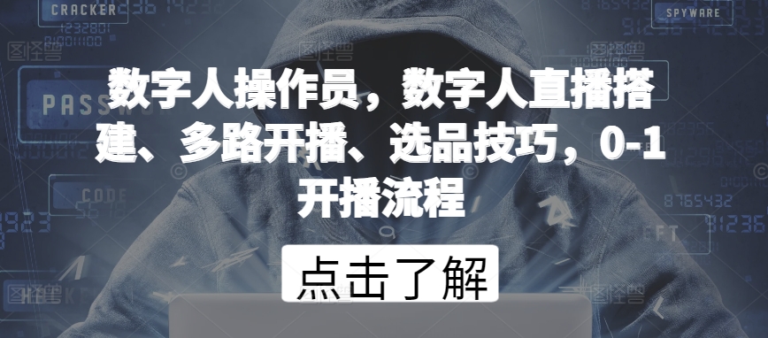 数字人操作员，数字人直播搭建、多路开播、选品技巧，0-1开播流程-大白鱼网创