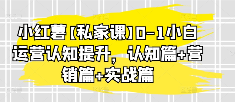 小红薯【私家课】0-1小白运营认知提升，认知篇+营销篇+实战篇-大白鱼网创