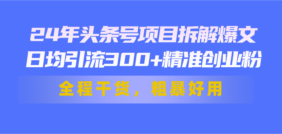 24年头条号项目拆解爆文，日均引流300+精准创业粉，全程干货，粗暴好用-大白鱼网创