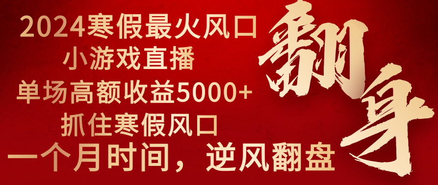 2024年最火寒假风口项目 小游戏直播 单场收益5000+抓住风口 一个月直接提车-大白鱼网创