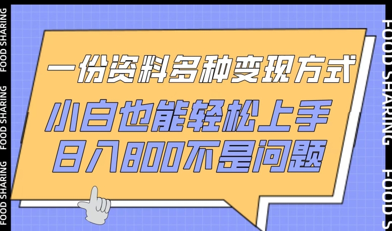 一份资料多种变现方式，小白也能轻松上手，日入800不是问题-大白鱼网创