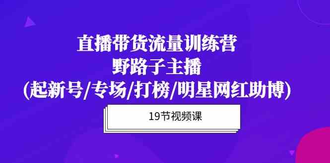 （10016期）直播带货流量特训营，野路子主播(起新号/专场/打榜/明星网红助博)19节课-大白鱼网创