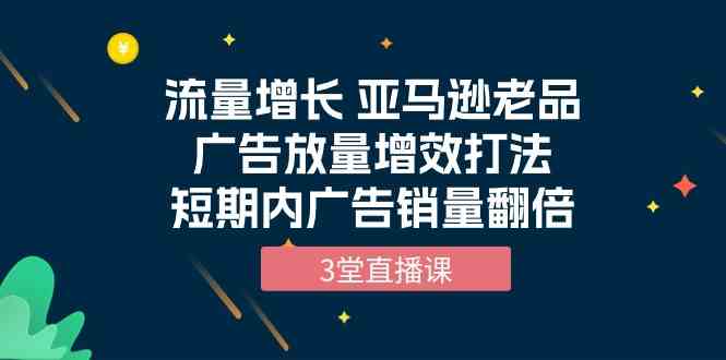 （10112期）流量增长 亚马逊老品广告放量增效打法，短期内广告销量翻倍（3堂直播课）-大白鱼网创