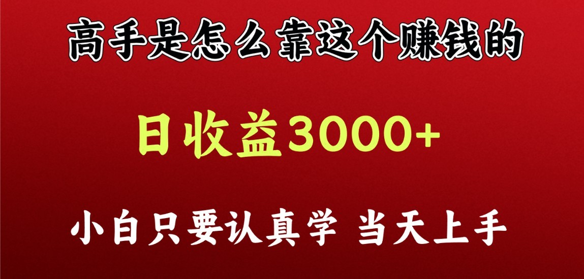 看高手是怎么赚钱的，一天收益至少3000+以上，小白当天上手-大白鱼网创