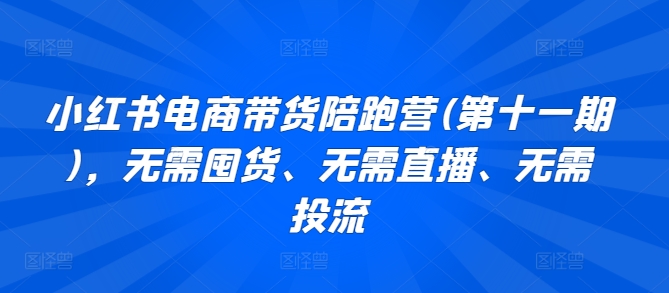 小红书电商带货陪跑营(第十一期)，无需囤货、无需直播、无需投流-大白鱼网创