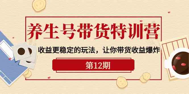 养生号带货特训营【12期】收益更稳定的玩法，让你带货收益爆炸（9节直播课）-大白鱼网创