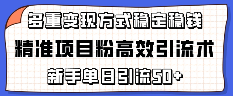 精准项目粉高效引流术，新手单日引流50+，多重变现方式稳定赚钱-大白鱼网创