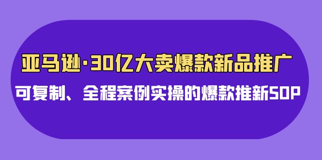 亚马逊30亿大卖爆款新品推广，可复制、全程案例实操的爆款推新SOP-大白鱼网创