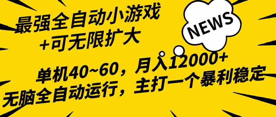 （10046期）2024最新全网独家小游戏全自动，单机40~60,稳定躺赚，小白都能月入过万-大白鱼网创