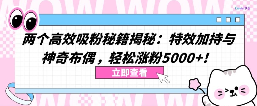 两个高效吸粉秘籍揭秘：特效加持与神奇布偶，轻松涨粉5000+-大白鱼网创