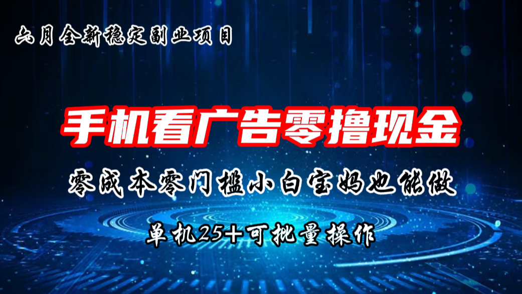 六月新项目，单机撸现金，单机20+，零成本零门槛，可批量操作-大白鱼网创