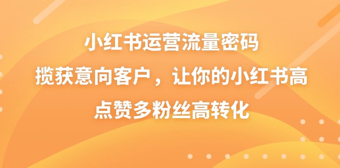 小红书运营流量密码，揽获意向客户，让你的小红书高点赞多粉丝高转化-大白鱼网创