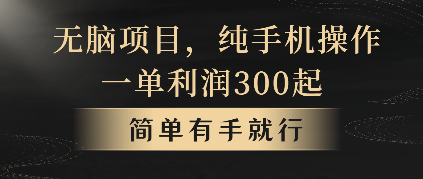 （10699期）无脑项目，一单几百块，轻松月入5w+，看完就能直接操作-大白鱼网创