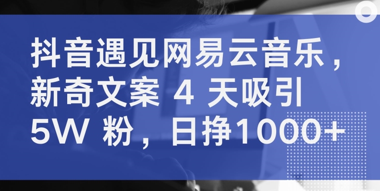 抖音遇见网易云音乐，新奇文案 4 天吸引 5W 粉，日挣1000+-大白鱼网创